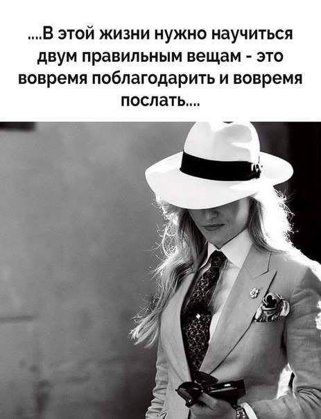 У чёрной кошки был шок, когда ей пересёк дорогу афроамериканец с пустыми вёдрами анекдоты,демотиваторы,приколы,юмор