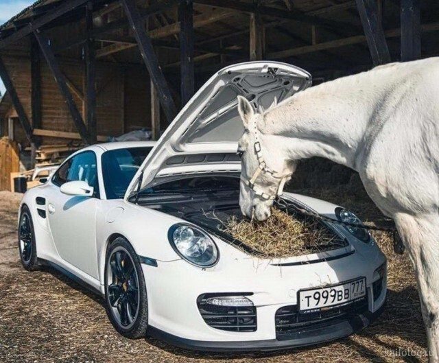 Иностранцам не понять позитив,смешные картинки,юмор