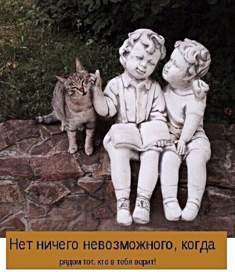 Первым, что бросилось Сереге в глаза, был кот. И последним демотиваторы,животные,позитив,Смешные животные,юмор