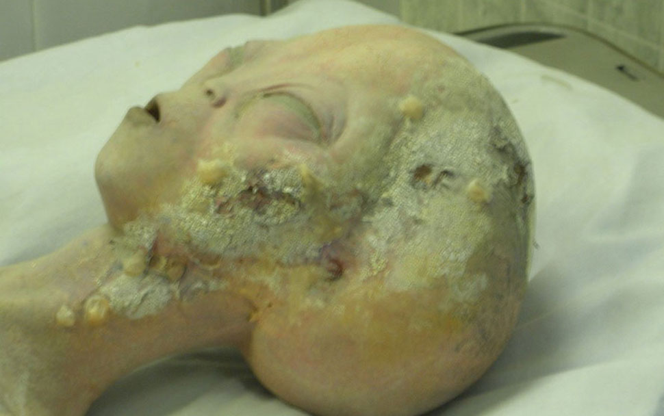 10 научных мистификаций, которые потрясли мир - свежие новости на Toplenta по теме Открытия