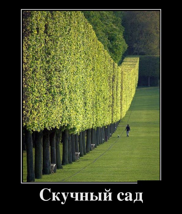 [7] Демотиваторы (30 фото)