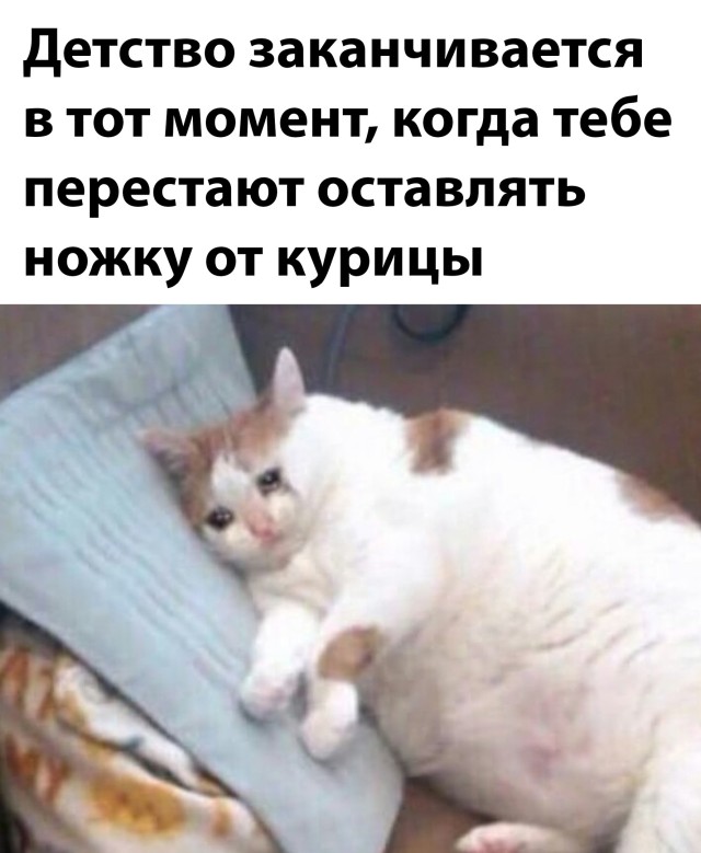 Подборка прикольных картинок Подборка прикольных картинок приколы,смешные картинки,юмор