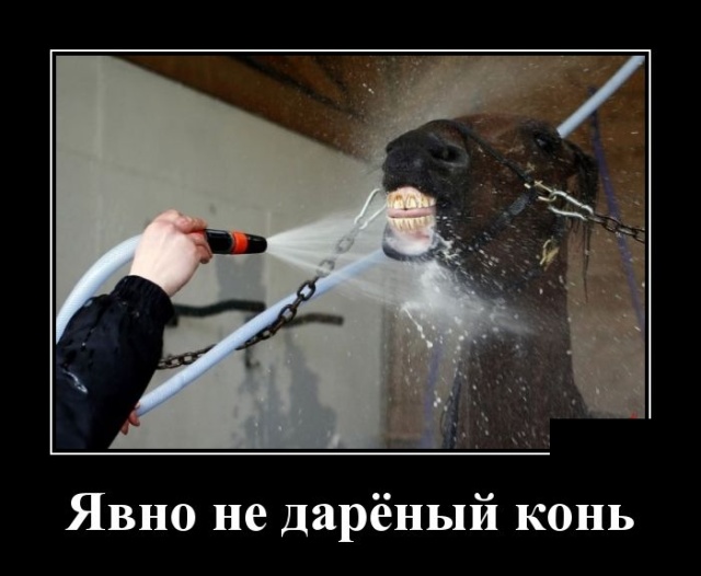 Самые новые демотиваторы (30 фото) демотиваторы