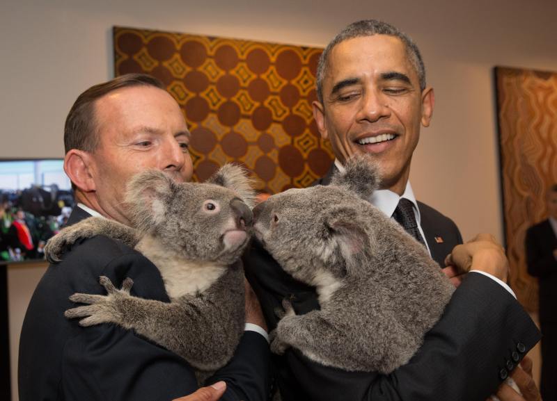 ÐÐ°ÑÑÐ¸Ð½ÐºÐ¸ Ð¿Ð¾ Ð·Ð°Ð¿ÑÐ¾ÑÑ tony abbott barack obama