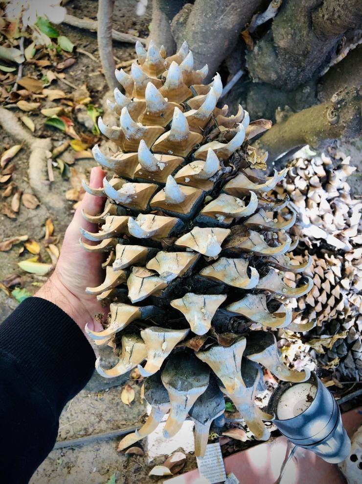 Подборка прикольных картинок Подборка прикольных картинок приколы,смешные картинки,юмор