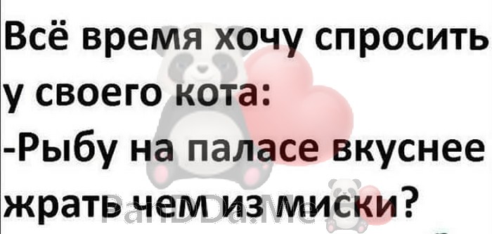 Свежая порция из 15 коротких историй с просторов интернета поднимет настроение Свежая порция из 15 коротких историй с просторов интернета поднимет настроение