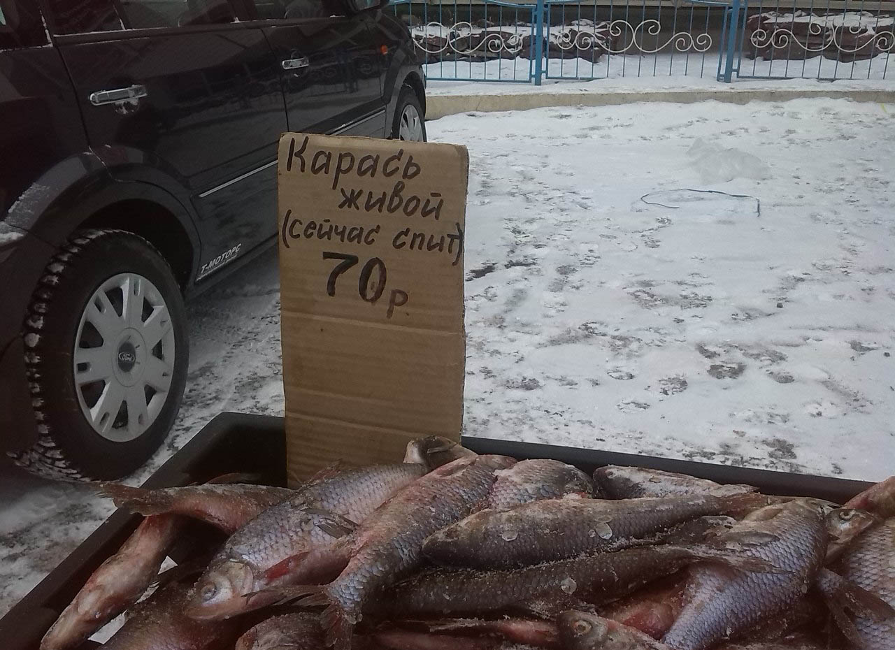 Улетные объявления с рынка Улетные объявления с рынка картинки,прикол,юмор