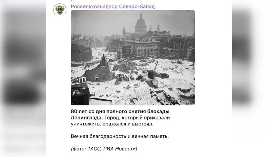Росссельхознадзор Северо-Запад поздравил жителей с годовщиной снятия блокады Ленинграда фотографией с видом Лондона