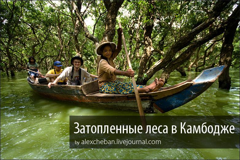 Затопленные леса в Камбодже
