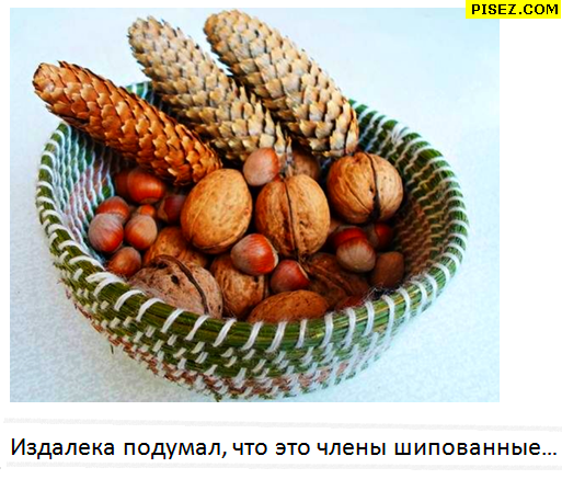 Приколы от наших пользователей. Ржака продолжается! 