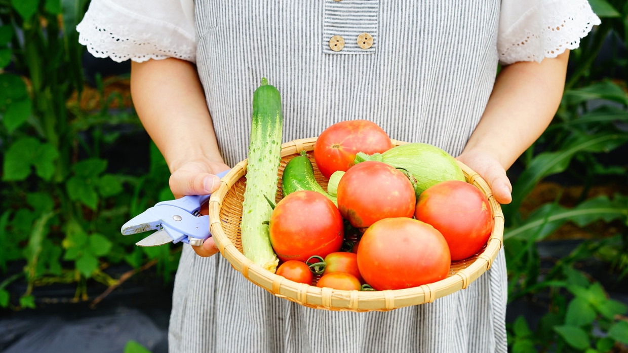 Обрусевший американец рассказал, чем отличаются взгляды на быт в РФ и США Общество