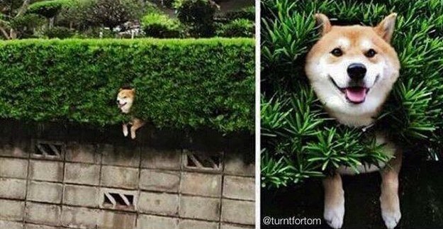 когда тебя спрашивают как жизнь 