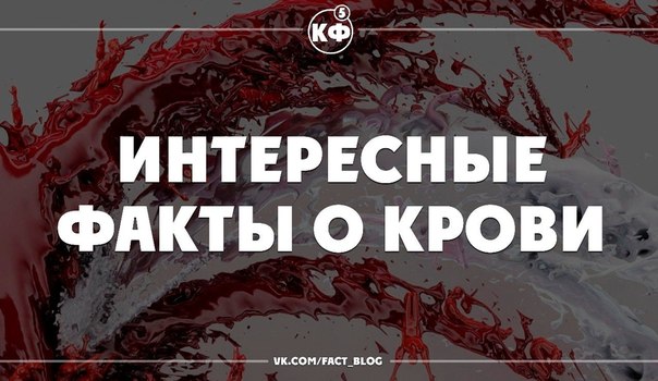 «Видишь кровь? Нет? А она там есть», или Самые необычные способы применения крови в промышленности