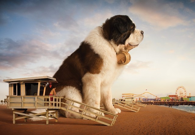 Милая собачка