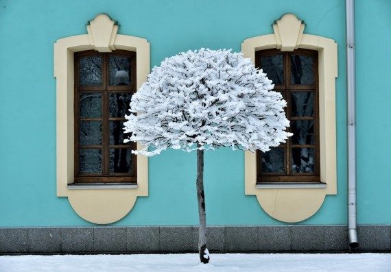 Самые позитивные картинки и фотки Самые позитивные картинки и фотки