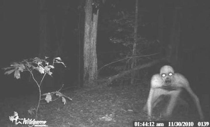 CreepyTrailCameras00