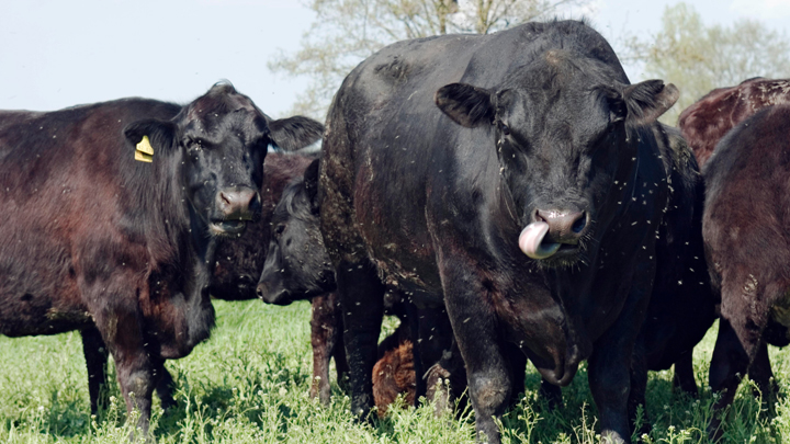 Женщинам разрешили убиваться по-новому: Минтруд реализует феминистские планы Собчак