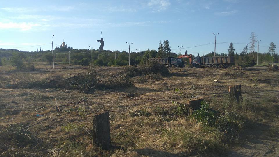 В Волгограде вырубили "Парк вдов" героев Сталинграда, высаженный женами погибших бойцов