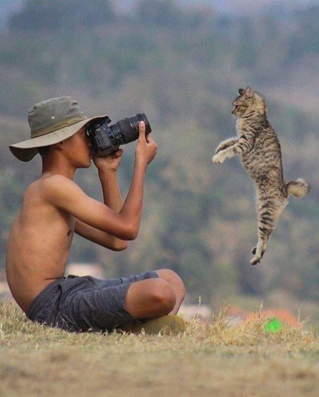 Подборка смешных картинок и угарных фото приколов из сети красивые фотографии,приколы,прикольные картинки,юмор