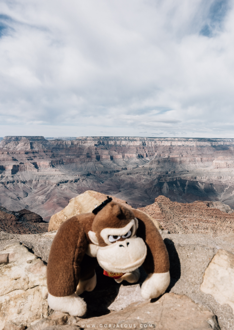 Desert View Watchtower-16.jpg