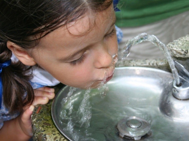 Очень жидкий Менделеев: Как качество водопроводной воды влияет на здоровье вода,водопроводная вода,здоровье