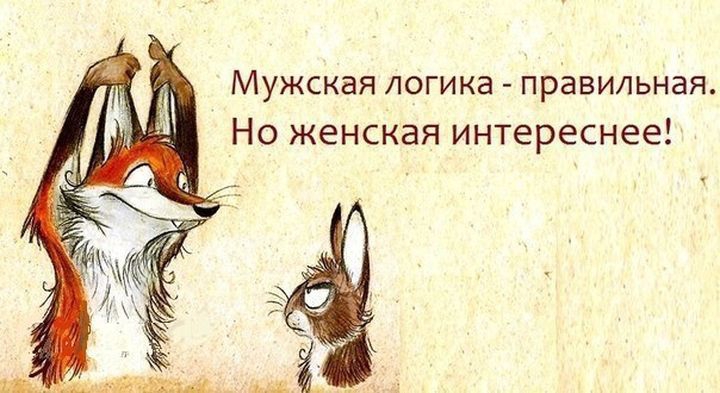 Женская логика девушки, женщина, логика