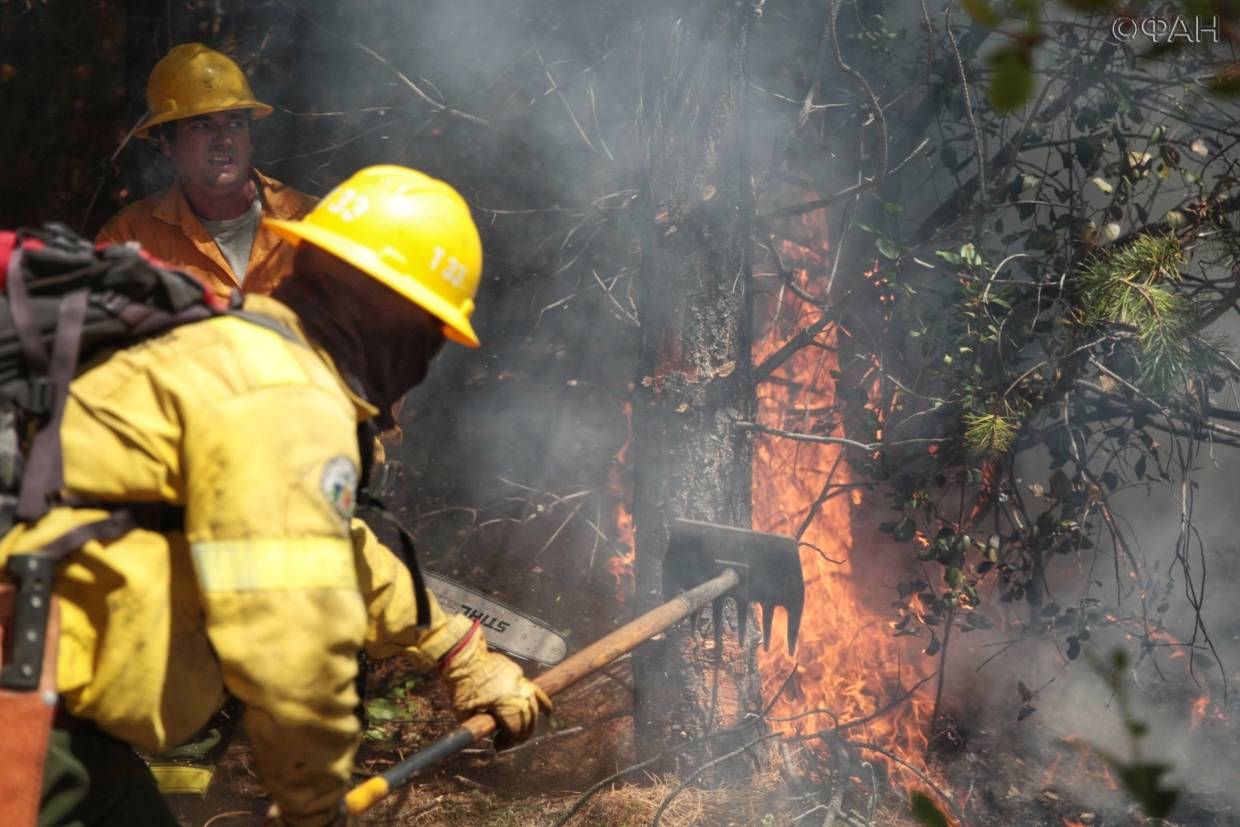 Бразильские власти помогли Аргентине справиться с лесными пожарами