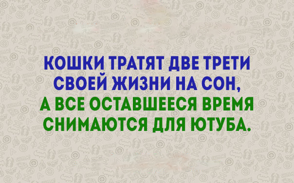 Живём с юмором! Прикольные афоризмы повседневности позитив