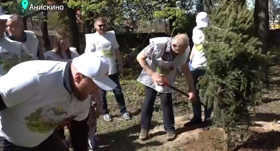 Жители Лосино-Петровского приняли участие в акции «Лес Победы»