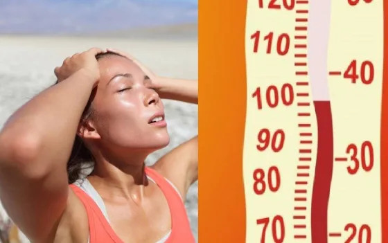 Способствует ли летняя жара похудению, и может ли жир растаять