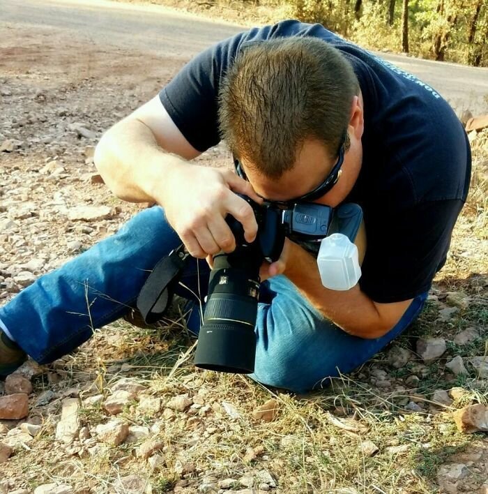 Пчелы, уснувшие в цветке: история одного фотоснимка Пчелы, уснувшие в цветке: история одного фотоснимка природа