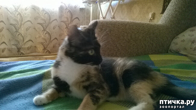 Глафирин юбилей