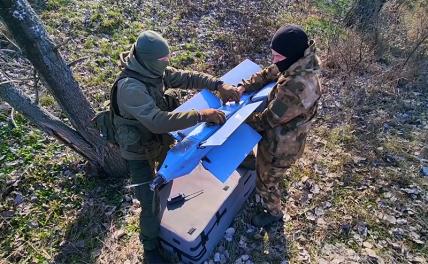 День «D» по-бандеровски: Остановят ли УПАБЫ и «Ланцеты» масштабный десант ВСУ в районе Алешек?