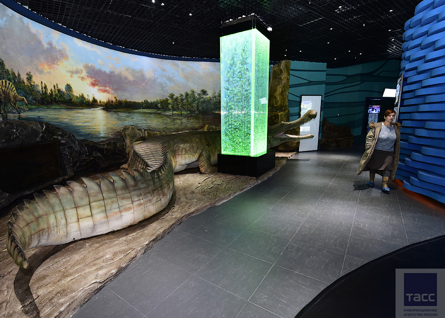 Океанариум Владивосток Остров Русский Купить Билеты