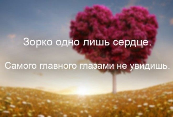 «Kогда-нибудь ты дорастешь до такого дня, когда вновь начнешь читать сказки»