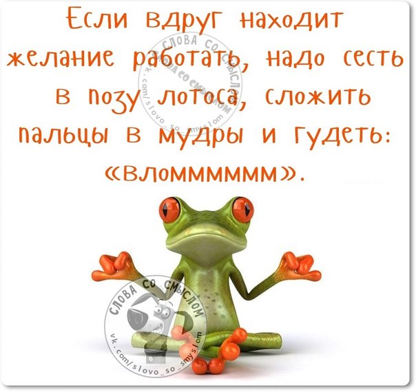 А я никогда в школе не дергал девочек за косички, потому что один раз в деревне я дернул за хвост коня анекдоты,веселые картинки,приколы,Хохмы-байки,юмор