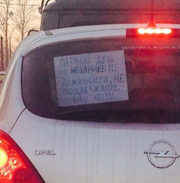 Утренняя подборка интересных и веселых картинок №8 отдых