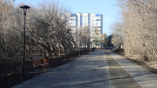 Парк имени Ленина в Барнауле, октябрь 2025 / Фото: amic.ru