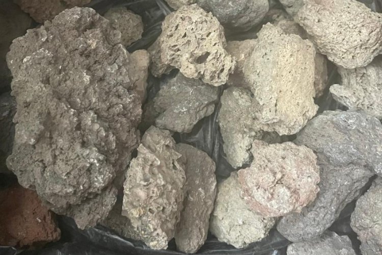  Олег Шичалин / предоставлено пресс-службой ДВФУ