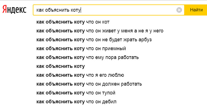 Объяснить ай. Как объяснить коту. Как объяснить коту что он кот. Какмобьяснить коту что он. Самые смешные запросы в Яндексе.