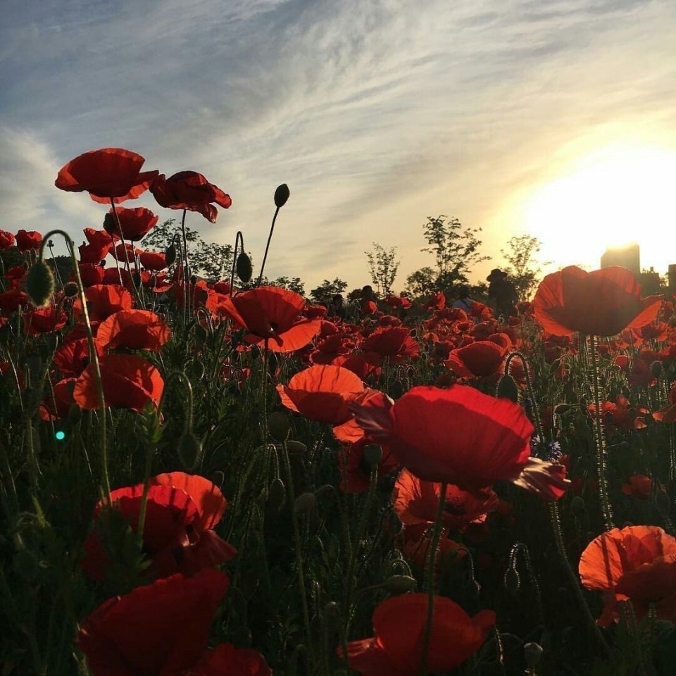 Позитивные и милые фотографии с веселыми картинками Позитивные и милые фотографии с веселыми картинками красивые фотографии,прикольные картинки,шикарные фотографии