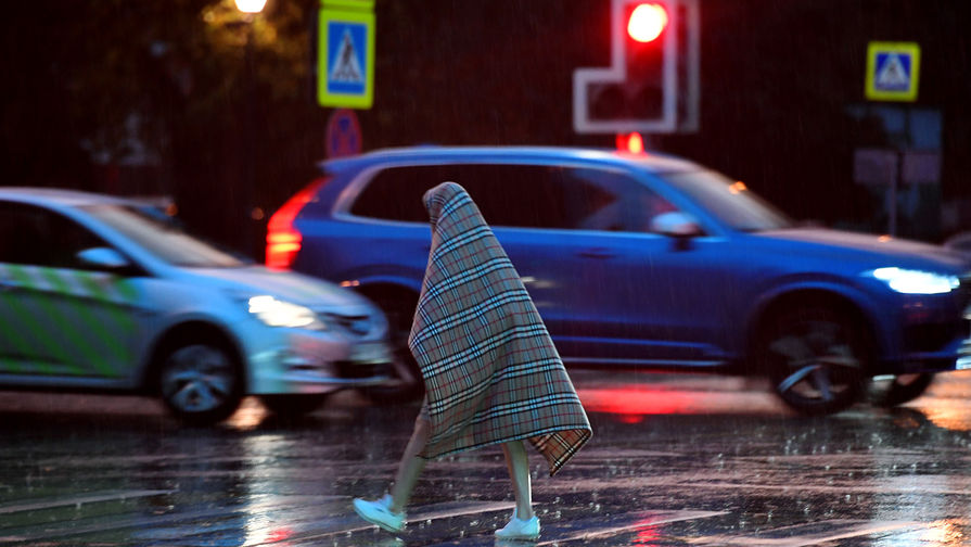 Вильфанд спрогнозировал холод и дождь в Москве