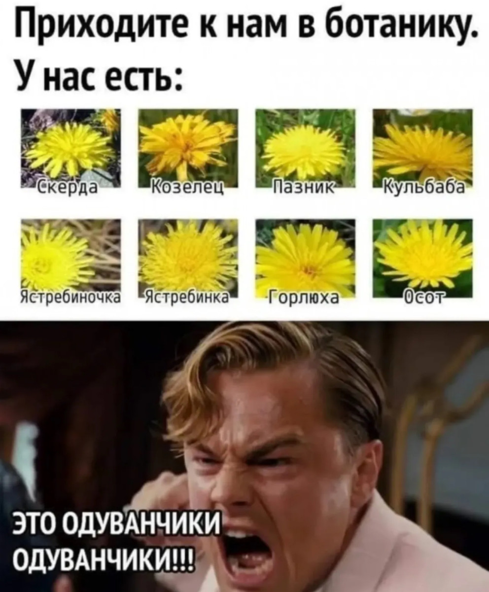 Юмор для тех, кто уже повзрослел и понял, что «любимый сериал» — это тот, под который хорошо засыпается 