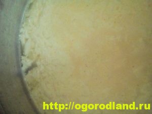 Домашний творог. Советы по приготовлению творога