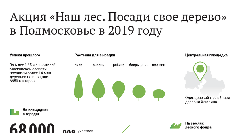 Насколько посадили. Сажать деревья в Подмосковье. Сколько деревьев в России. Сколько сажают деревьев в год в России. Сколько деревьев посажено в мире.