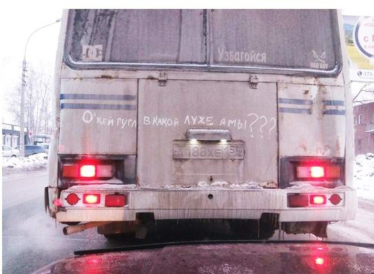 Утренняя подборка интересных и веселых картинок №8 отдых