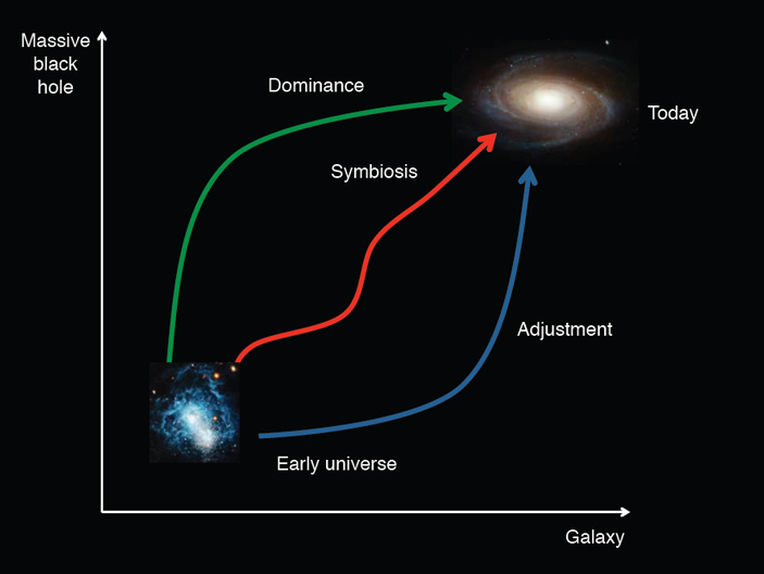 Рис. 2. Возможные сценарии коэволюции сверхмассивной черной дыры и содержащей ее галактики
