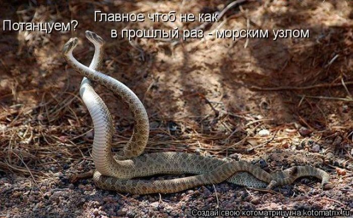 Мысли вслух :)