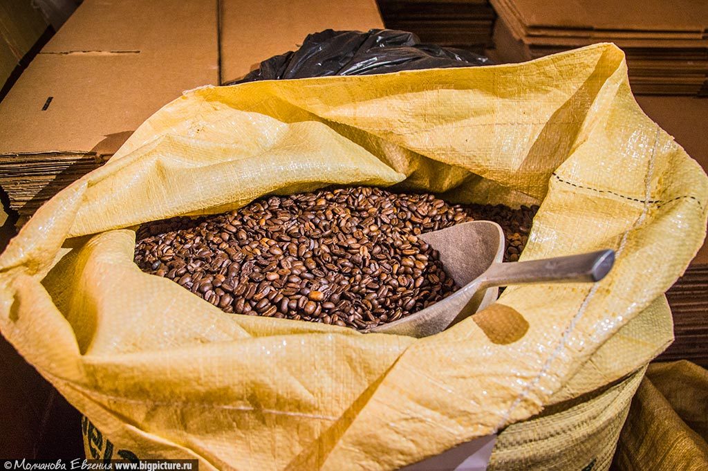 Как в Доминикане выращивают кофе