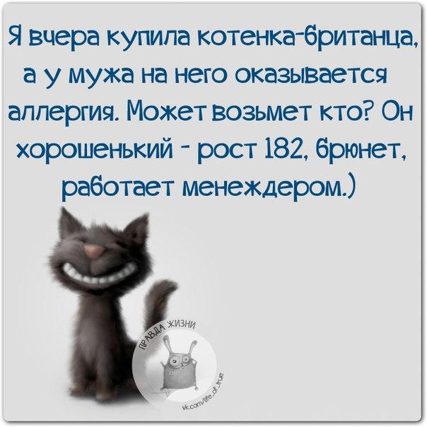 А я никогда в школе не дергал девочек за косички, потому что один раз в деревне я дернул за хвост коня анекдоты,веселые картинки,приколы,Хохмы-байки,юмор